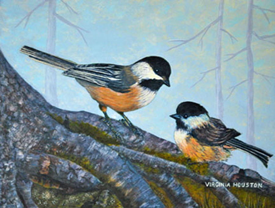 900x681 Black Capped Chickadees Mother And Baby Painting By Virginia Houston - Black Capped Chickadee Painting