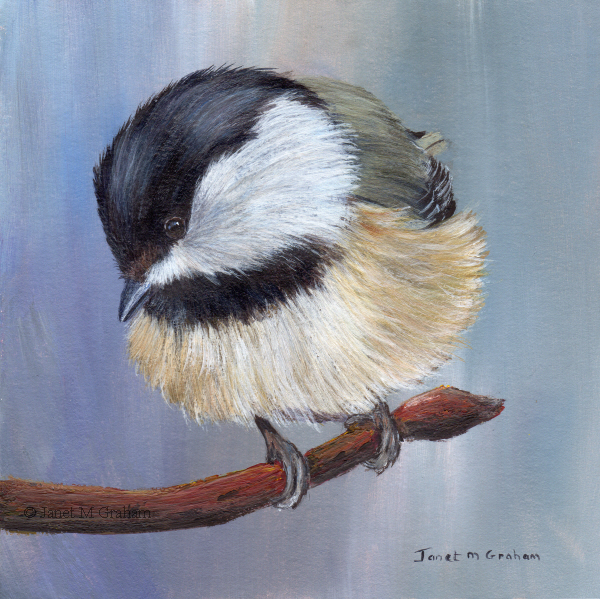 Black Capped Chickadee Painting at PaintingValley.com | Explore ...