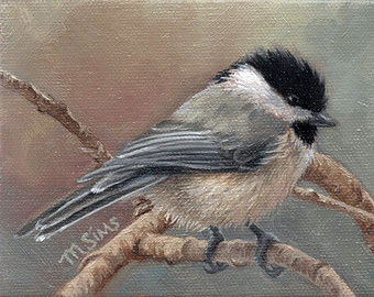 340x270 Bird Art Painting Etsy - Black Capped Chickadee Painting