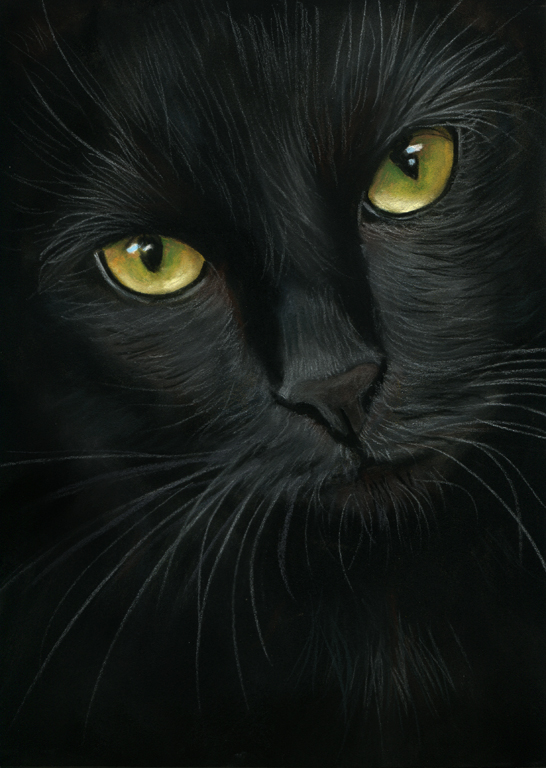 546x768 Black Cat Portrait Pastel Painting By Art It Art - Black Cat Painting