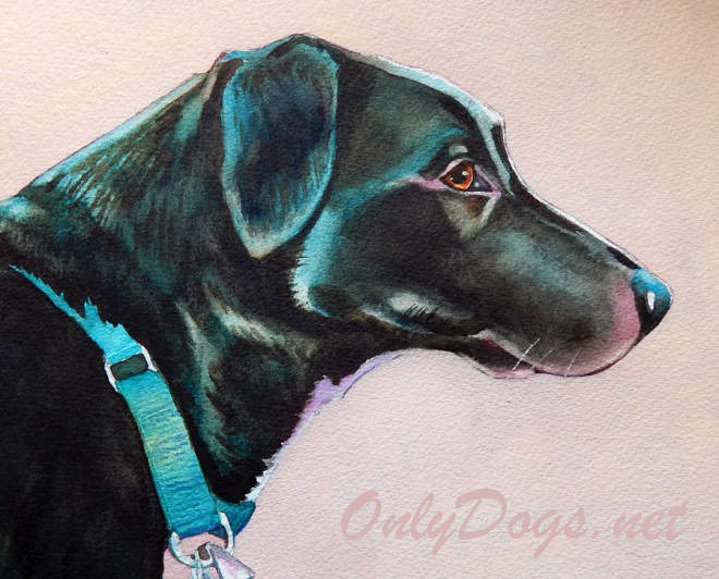 660x532 Black Dog Portrait - Black Dog Painting