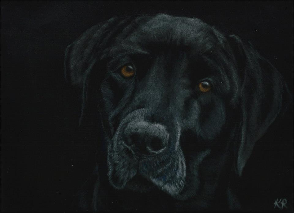 960x698 Dog And Pet Paintings 032813 - Black Dog Painting