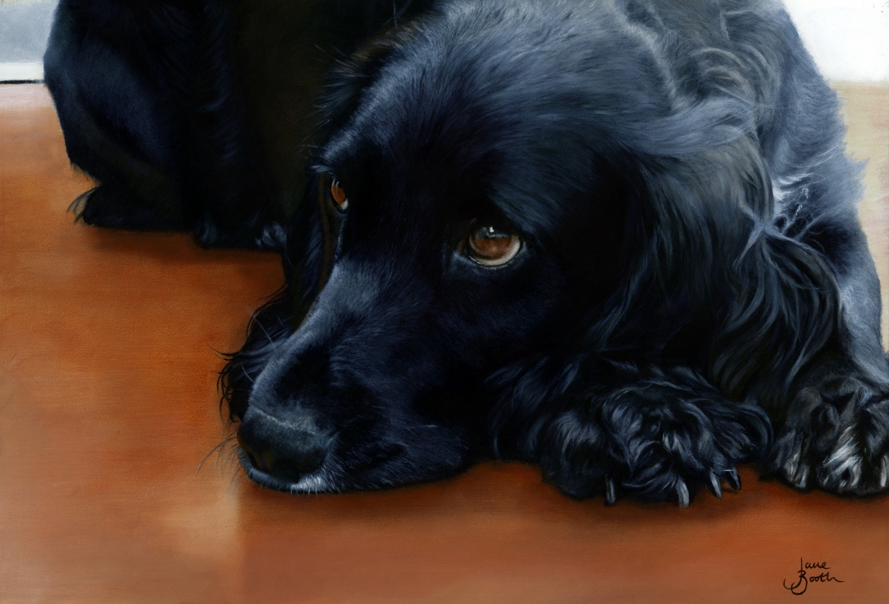 1280x870 Dogs Jane Booth Fine Art Paintings - Black Dog Painting