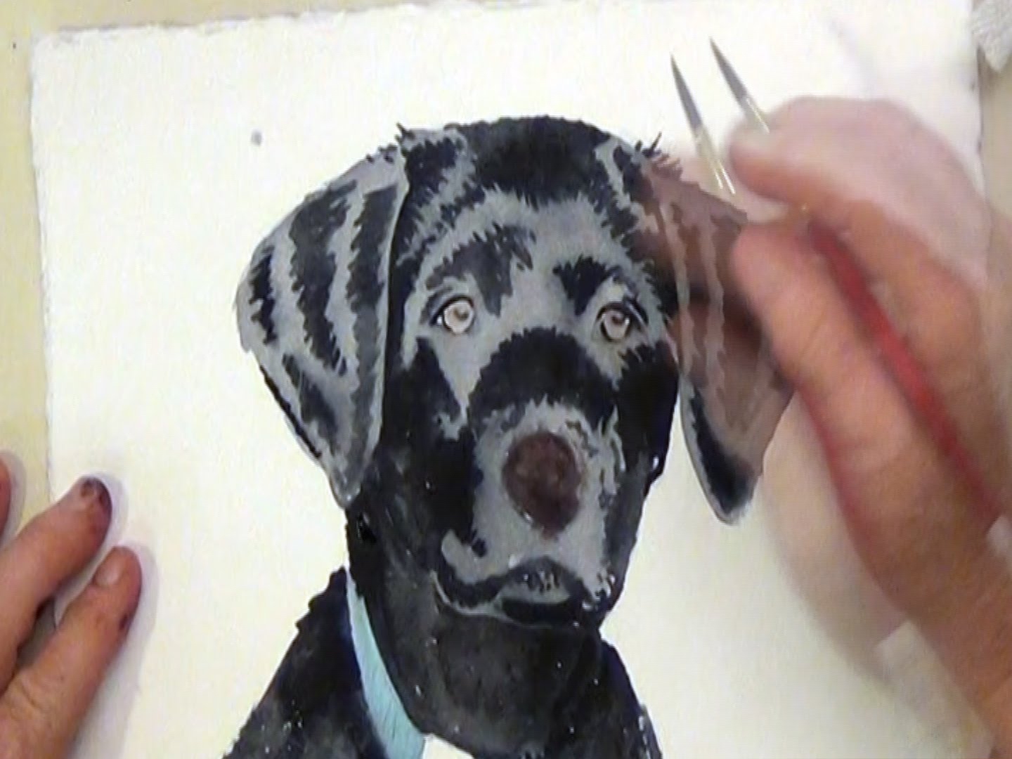 1440x1080 How To Paint A Black Dog With Watercolor - Black Dog Painting