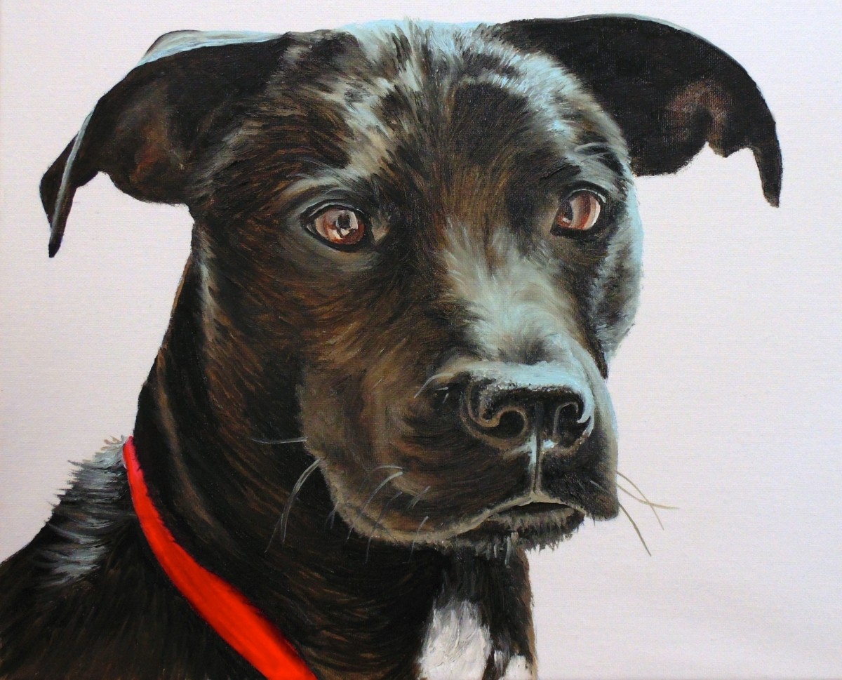 1200x969 How To Paint Black Hair Animals (Dog) Online Art Lessons - Black Dog Painting