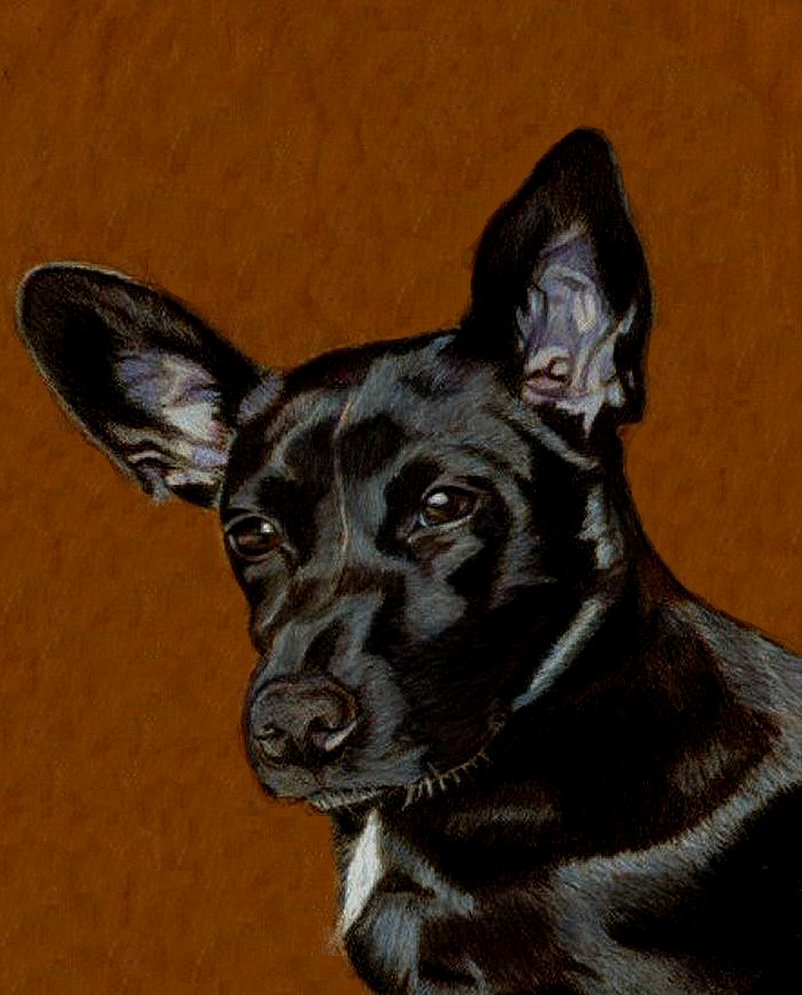 802x995 Little Black Dog Painting By Shana1065 - Black Dog Painting