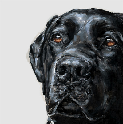 400x401 Paintmydog - Black Dog Painting