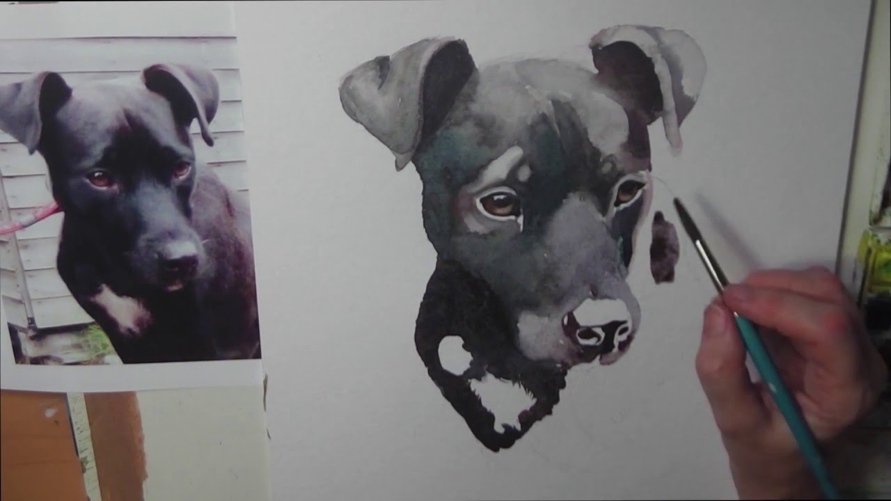 1280x720 Painting A Watercolour Portrait Of A Black Dog By Gill Bustamante - Black Dog Painting