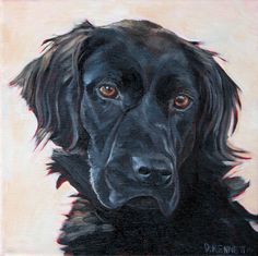 236x235 55 Best My Dog Paintings Images On Dog Paintings - Black Dog Painting