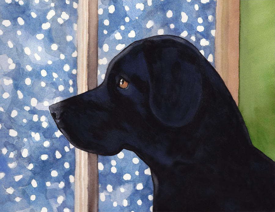 900x695 Black Dog Painting By Jill Dodson - Black Dog Painting