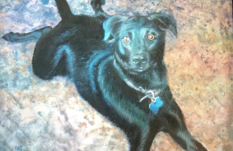 900x585 Black Dog Painting By Pat Joiner - Black Dog Painting