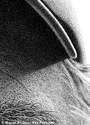 306x423 This Is Not A Photograph, Honestly! Incredible Ink Dot Paintings - Black Dot Painting