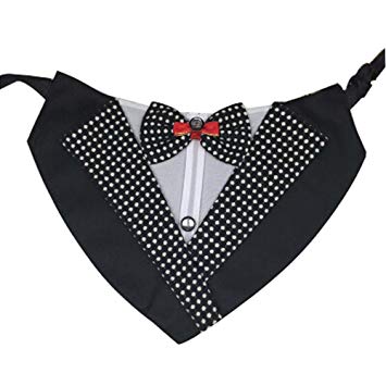 355x355 Panda Superstore Black Dots Painting Pets Bandanas - Black Dot Painting