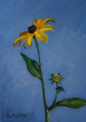 283x400 Black Eyed Susan {A Daily Painting} Elizabeth Floyd - Black Eyed Susan Painting