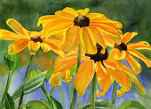 300x218 Black Eyed Susans Painting By Sharon Freeman - Black Eyed Susan Painting