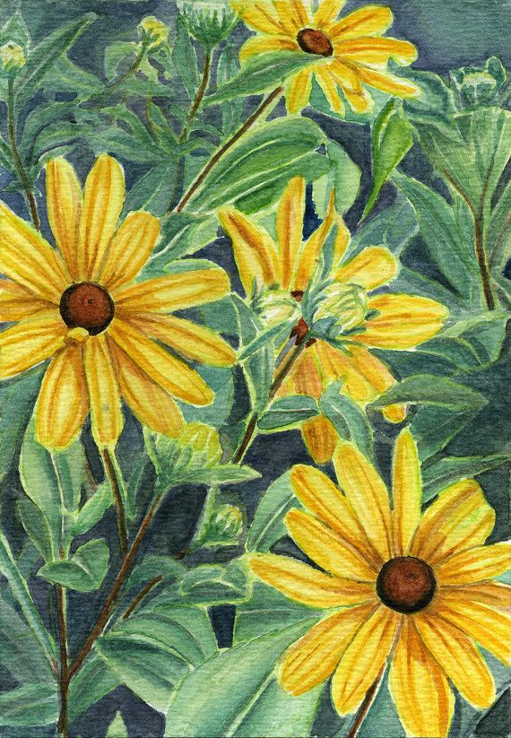 570x823 Black Eyed Susan Painting Of Flowers 5x7 Print By Earthspalette - Black Eyed Susan Painting