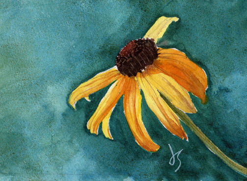 503x369 Jennifer Smith Greene Graphic Design And Watercolor Illustration - Black Eyed Susan Painting