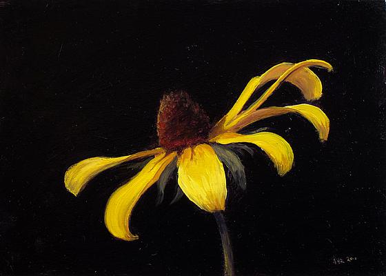 560x400 Black Eyed Susan 5x7 In. Oil On Masonite - Black Eyed Susan Painting