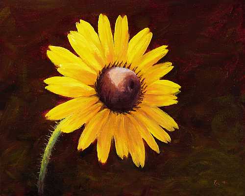 500x400 Black Eyed Susan Ii 8x10 In. Oil On Canvas On Board - Black Eyed Susan Painting