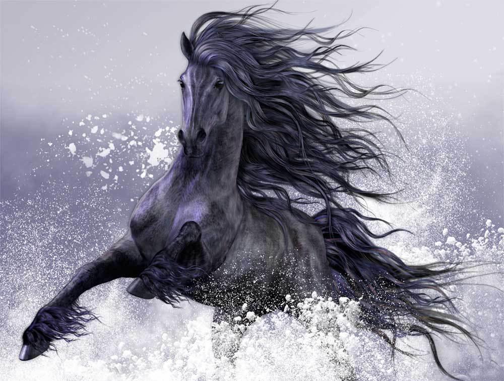 1000x756 2018 Beautiful Black Horse Oil Paintingno Frameless Draw - Black Horse Painting