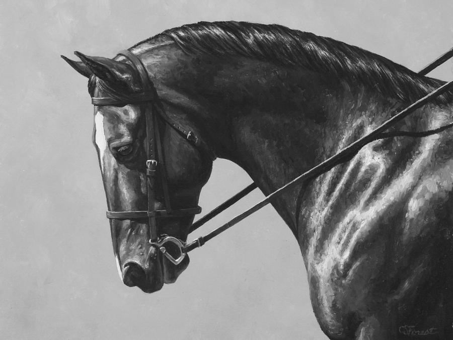 900x675 Dark Brown Dressage Horse Black And White Painting By Crista Forest - Black Horse Painting
