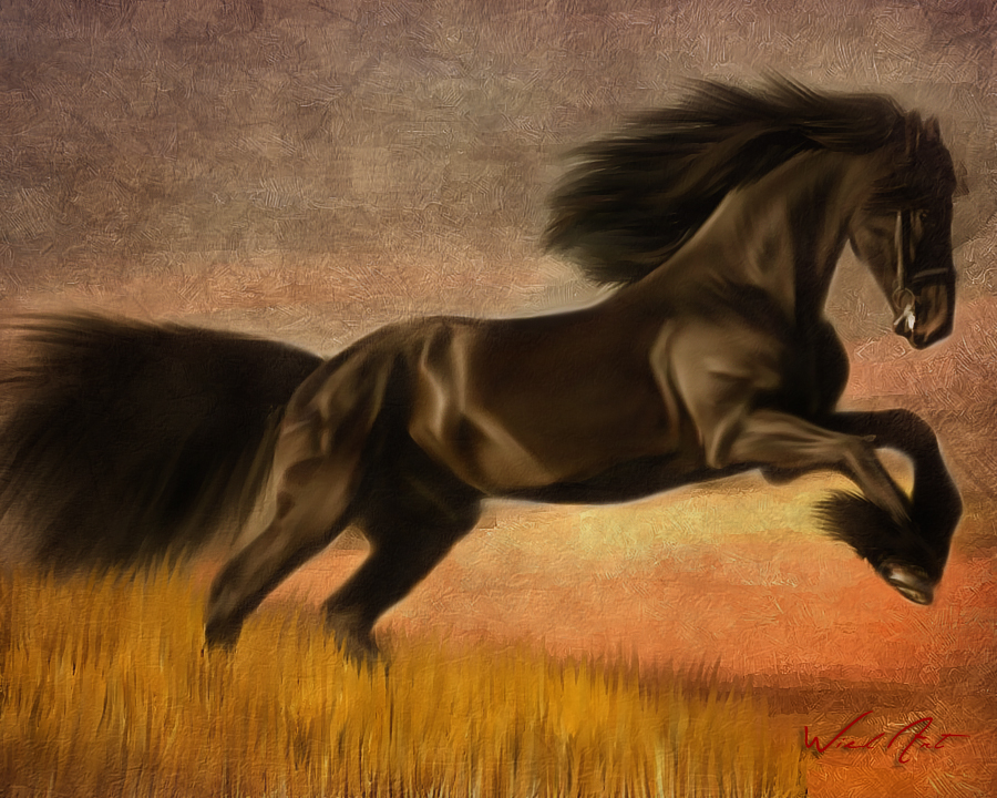 900x720 Digital Painting Black Horse By Shewiel - Black Horse Painting