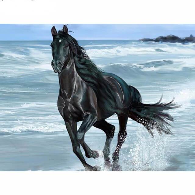 640x640 Seaside Running Black Horse - Black Horse Painting