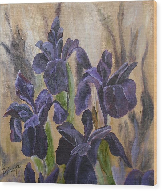 526x618 Black Iris Painting By Barbara Harper - Black Iris Painting