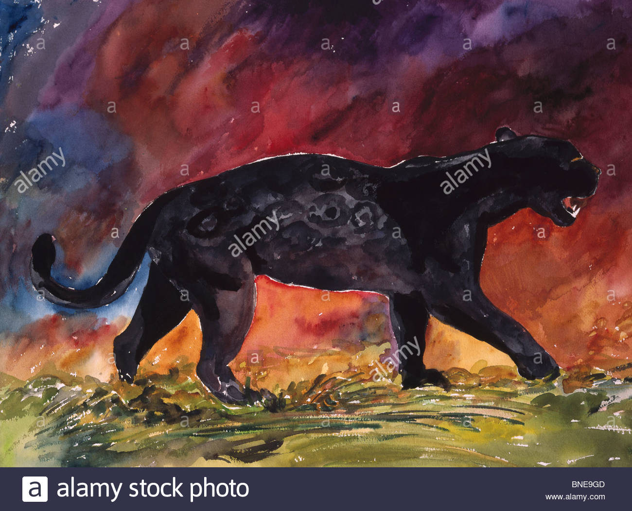 1300x1052 Black Jaguar Walking, By John Bunker, Watercolour Painting, 2000 - Black Jaguar Painting