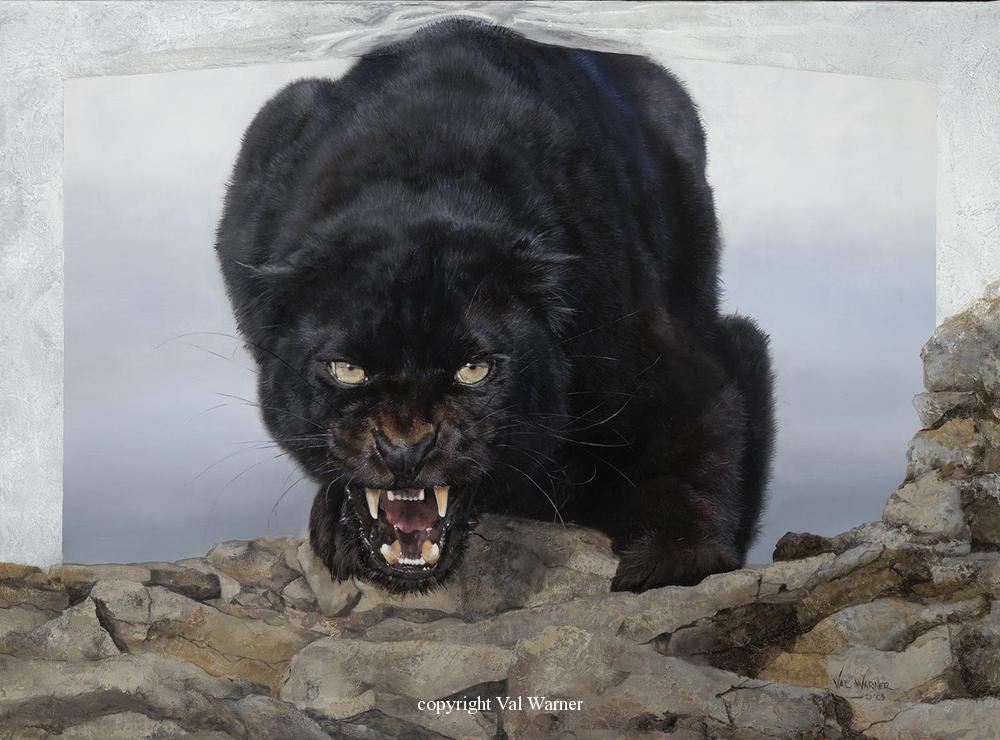 1000x740 Imported Gallery - Black Jaguar Painting