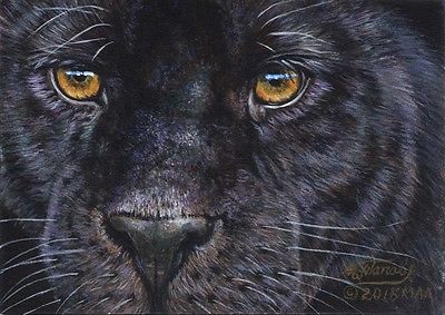 400x283 Wonderful Paintings - Black Jaguar Painting
