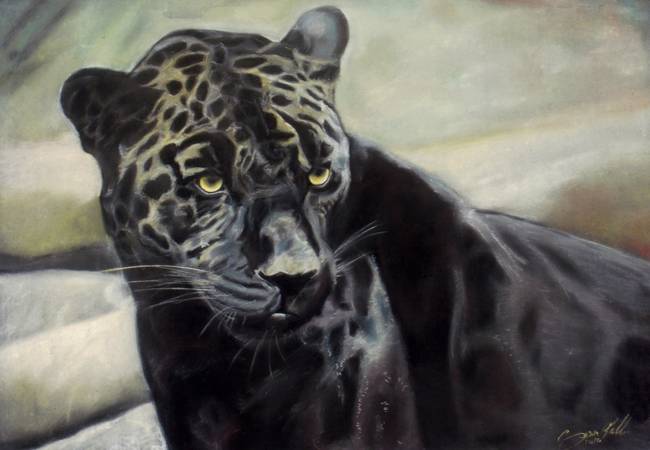 650x450 Black Jaguar Painting For Sale By Gift Portraits - Black Jaguar Painting