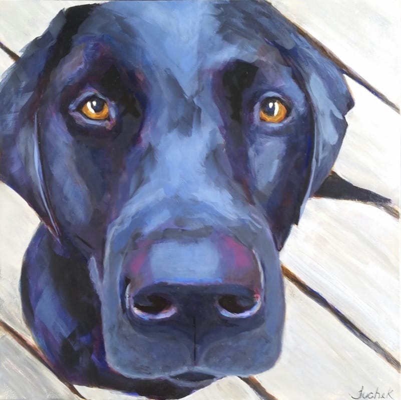 801x800 Category Black Lab Painting - Black Lab Painting