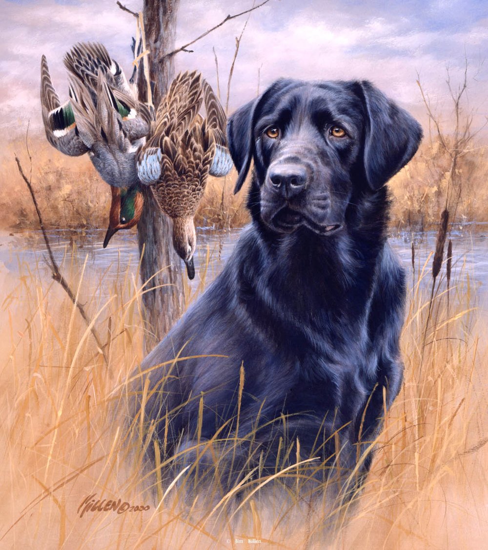 1000x1128 Faithful Friends Black Lab Mixed Bag Painting By Jim Killen - Black Lab Painting