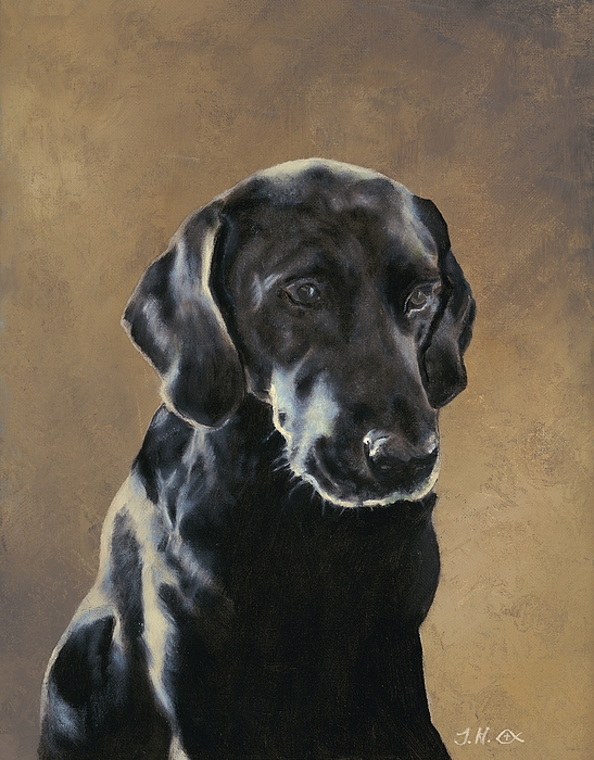 547x700 Fargo - Black Lab Painting