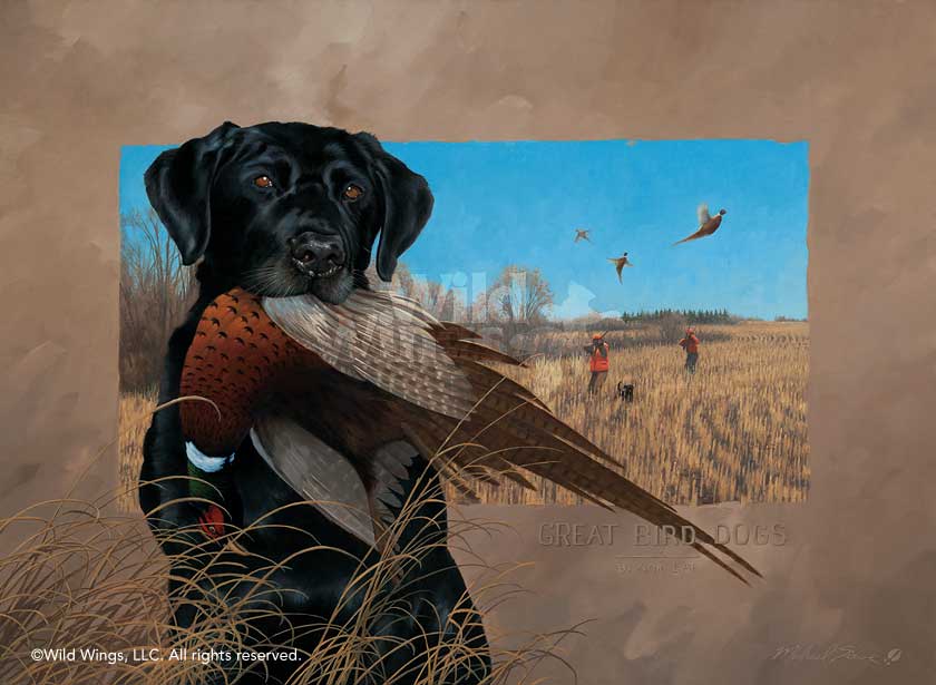 840x615 Great Bird Dog Black Lab Original Oil Painting Wild Wings - Black Lab Painting