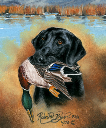 350x421 Pastel Black Labrador Retriever Duck Hunting Painting By Roby Baer - Black Lab Painting