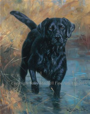 302x380 Taking A Minute Original Black Lab Oil Painting By John Trickett - Black Lab Painting
