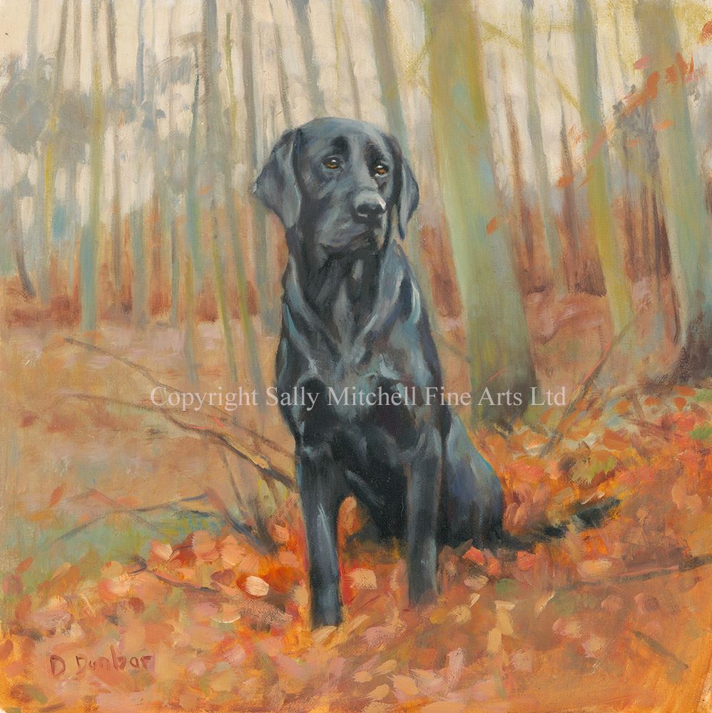 998x1000 Black Lab Original Oil Painting By Debbie Dunbar - Black Lab Painting