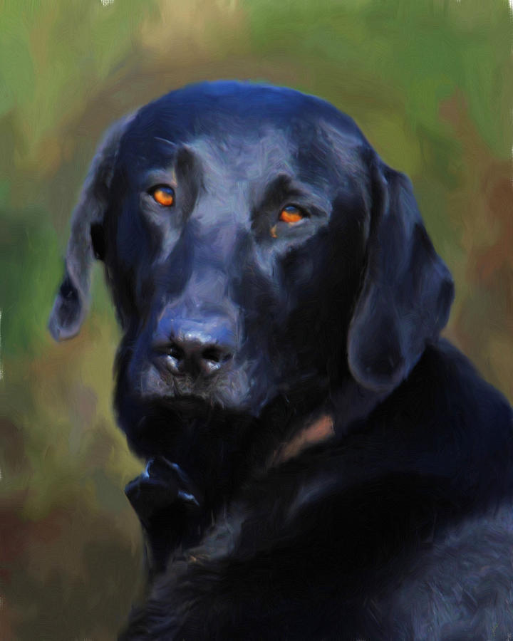 720x900 Black Lab Portrait Painting By Jai Johnson - Black Lab Painting