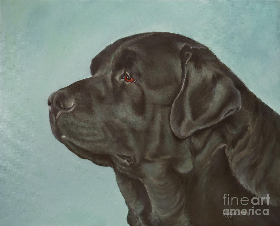 900x726 Black Labrador Dog Profile Painting Painting By Amy Reges - Black Labrador Painting