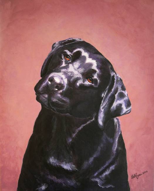 525x650 Black Labrador Portrait Painting By Amy Reges - Black Labrador Painting