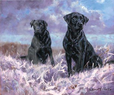 380x317 Companions. Black Labrador Dog Painting By John Trickett - Black Labrador Painting