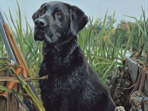 480x360 Dog Portrait, Hunting Scene, Oil Painting Of Black Labrador - Black Labrador Painting
