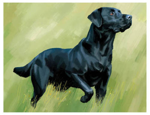 500x386 I Love My Black Dog Collection On Ebay! - Black Labrador Painting