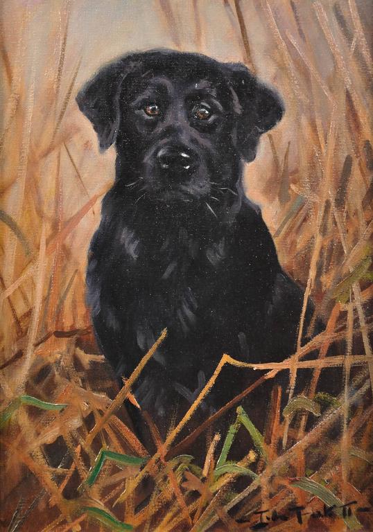 538x768 John Trickett - Black Labrador Painting