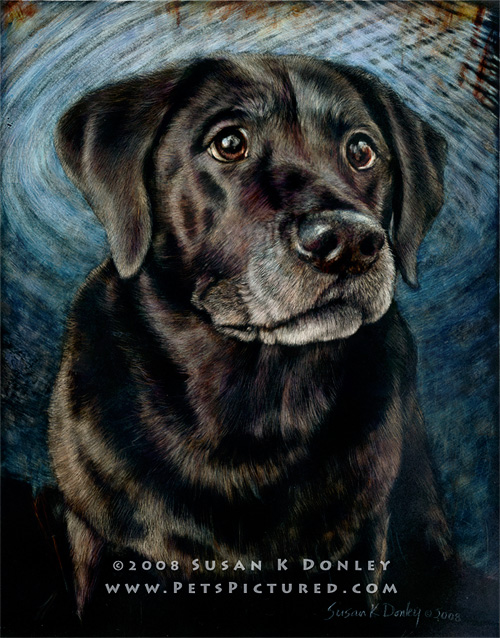 500x638 Portrait Of Tundra, Black Labrador Retriever - Black Labrador Painting