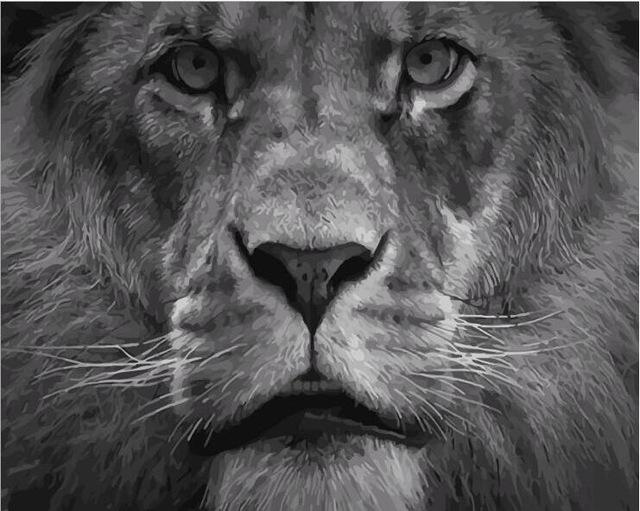 640x511 Black And Grey Lion - Black Lion Painting