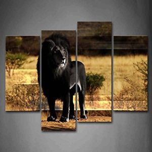 300x300 Framed Black Lion Stand In Savanna Canvas Print Wall Art Painting - Black Lion Painting
