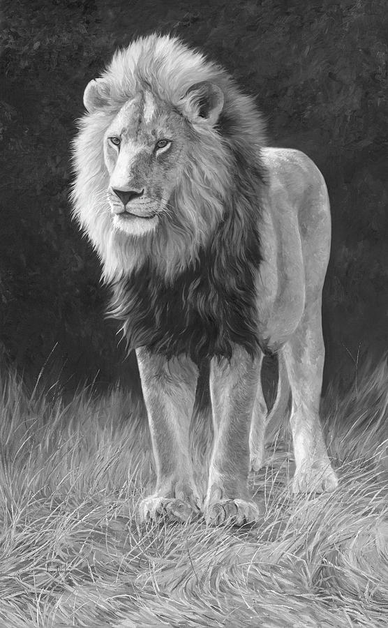 556x900 In His Prime - Black Lion Painting